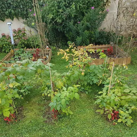 La Montignonne * Montigny-sur-Loing